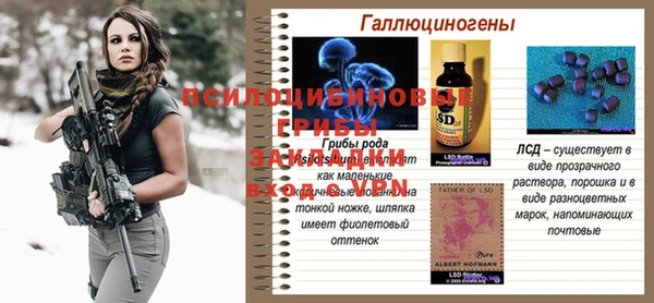 мяу мяу мука Осинники