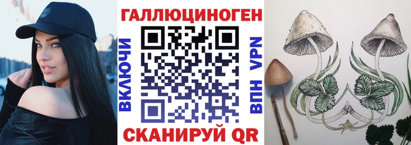 Купить закладки  Кизляр  Галлюциногенные грибы GOLDEN TEACHER 